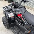 NEW Loncin Xwolf 200cc quad