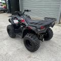 NEW Loncin Xwolf 200cc