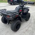 NEW Loncin Xwolf 200cc
